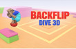 Backflip Dive 3D img