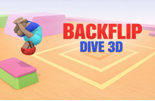 Backflip Dive 3D img