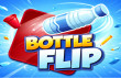 Bottle Flip img