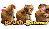 Brush Jjaemu background