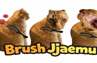 Brush Jjaemu img