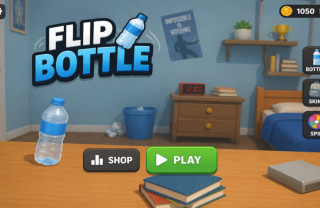 Flip Bottle Flip Bottle img