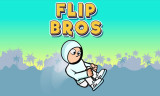 Flip Bros background