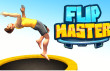 Flipping Master img