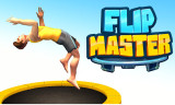 Flipping Master background