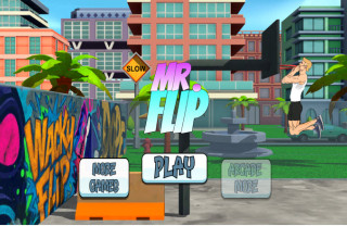 Mr Flip img