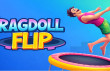 Ragdoll Flip img