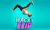 Wacky Flip background